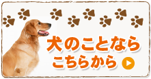 こども動物教室　犬のしつけ教室