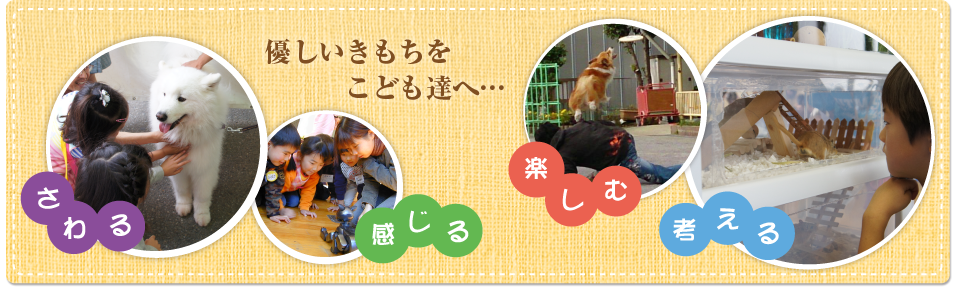 アニマルシップ　こども動物教室・動物教育（東京都足立区）