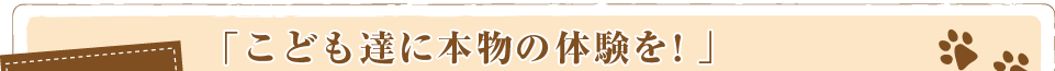 こども動物教室・ふれあい動物　東京都足立区「こども達に本物の体験を！」（東京都足立区）