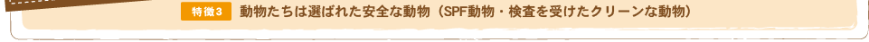 「動物たちは選ばれた安全な動物（SPF動物・検査を受けたクリーンな動物）」こども動物教室・ふれあい動物　東京都足立区